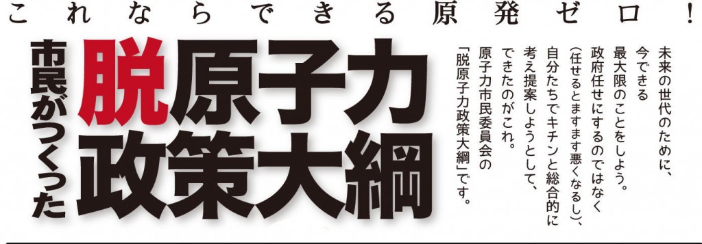 これならできる原発ゼロ！市民がつくった脱原子力政策大綱