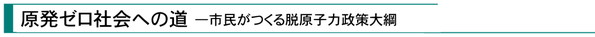 『原発ゼロ社会への道――市民がつくる脱原子力政策大綱』