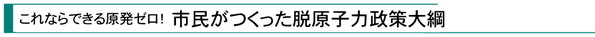 『これならできる原発ゼロ！市民がつくった脱原子力政策大綱』