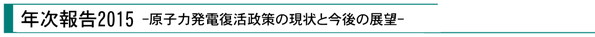 『年次報告2015-原子力発電復活政策の現状と今後の展望-』