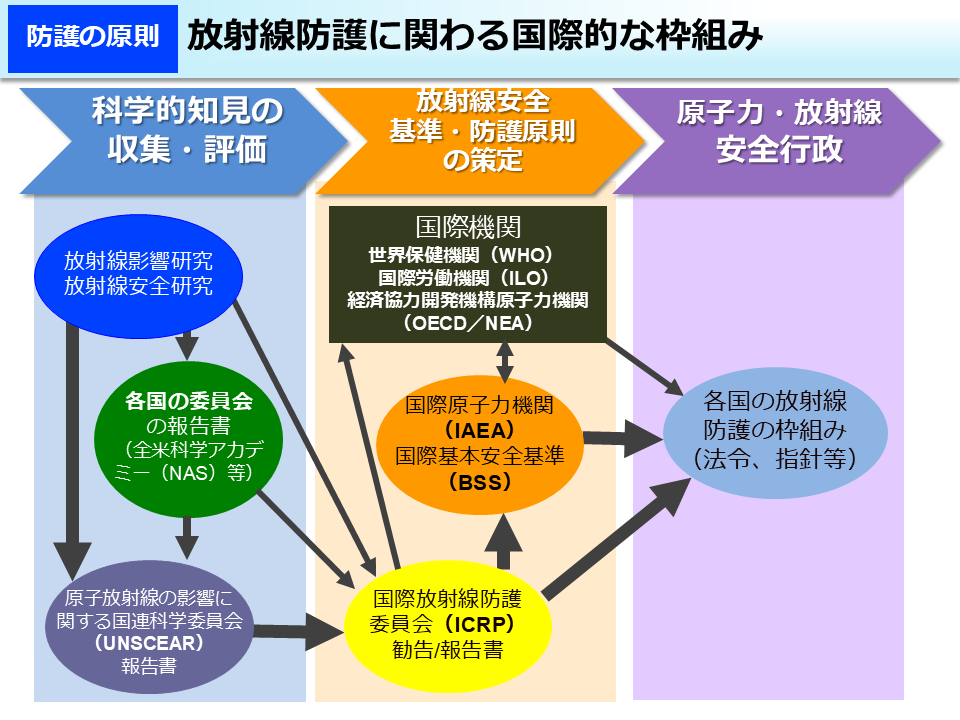 放射線防護に関わる国際的な枠組みを、科学的知見の収集・評価、国際機関等による基準・防護原則の策定、各国の放射線防護の枠組み(法令、指針等)について図式している